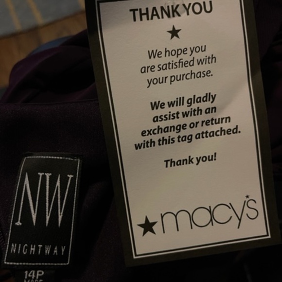 Women's Plum Long Evening Gown Size 14P - Picture 5 of 6